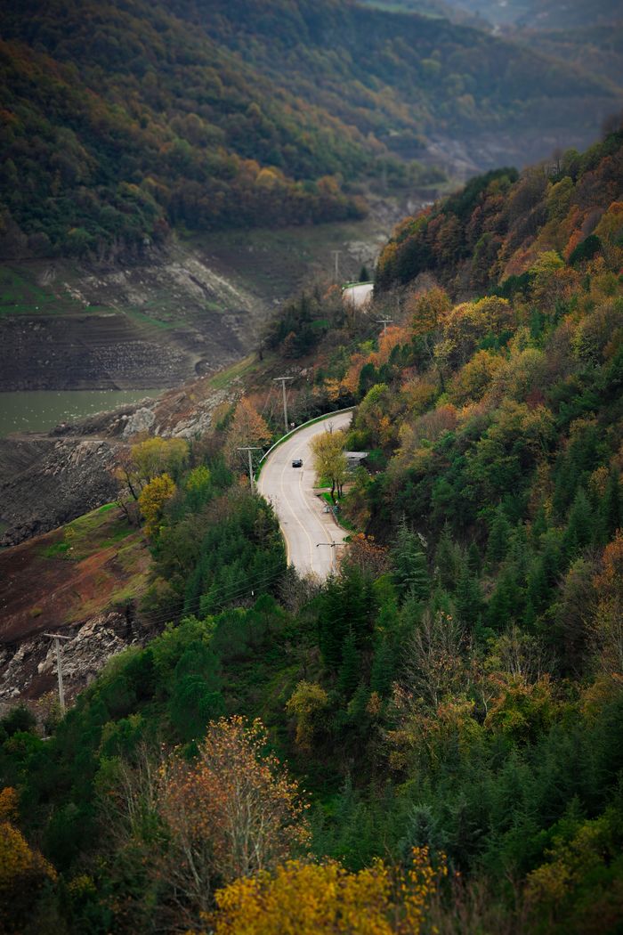 A scenic view of a winding road through colorful autumn foliage in Kocaeli, Türkiye.